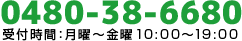 0480-38-6680